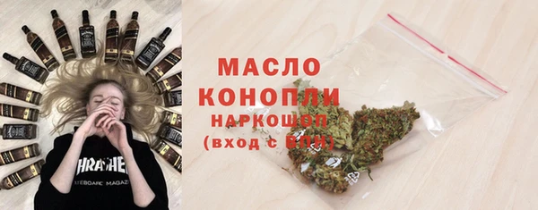 хмурый Арсеньев