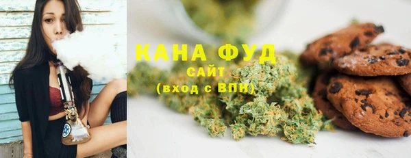 хмурый Арсеньев