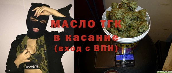 хмурый Арсеньев