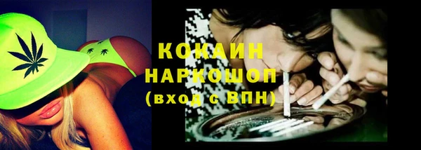хмурый Арсеньев