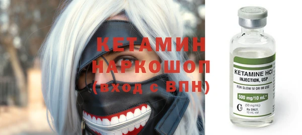 прущие грибы Аркадак