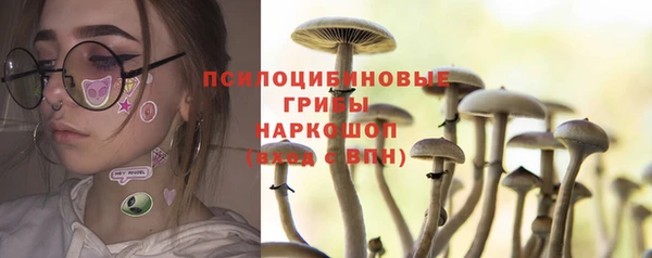 ПСИЛОЦИБИНОВЫЕ ГРИБЫ Надым