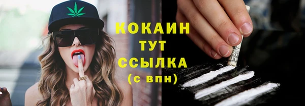 прущие грибы Аркадак