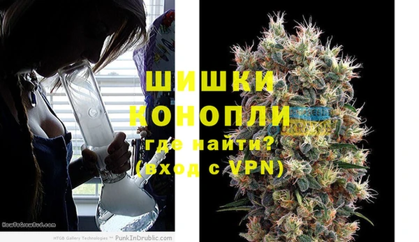 хмурый Арсеньев