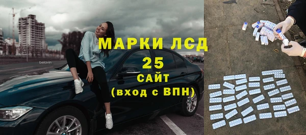 крисы Абаза