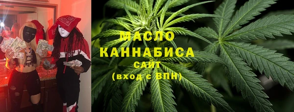 хмурый Арсеньев