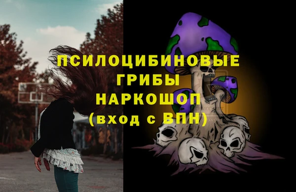 прущие грибы Аркадак
