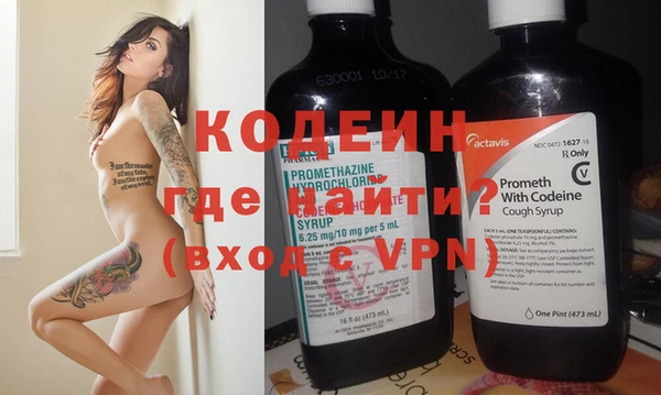 хмурый Арсеньев