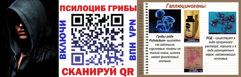 Галлюциногенные грибы прущие грибы где купить наркотик Отрадная