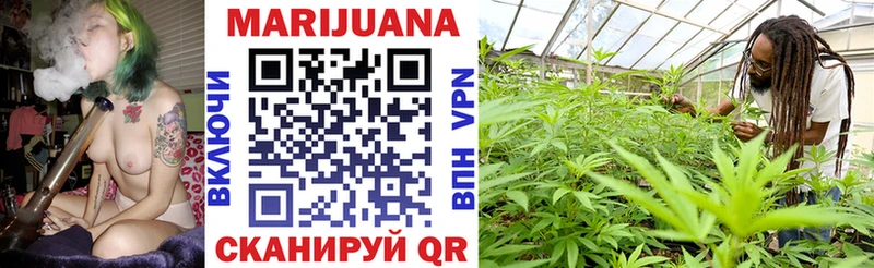 Канабис OG Kush  Отрадная 